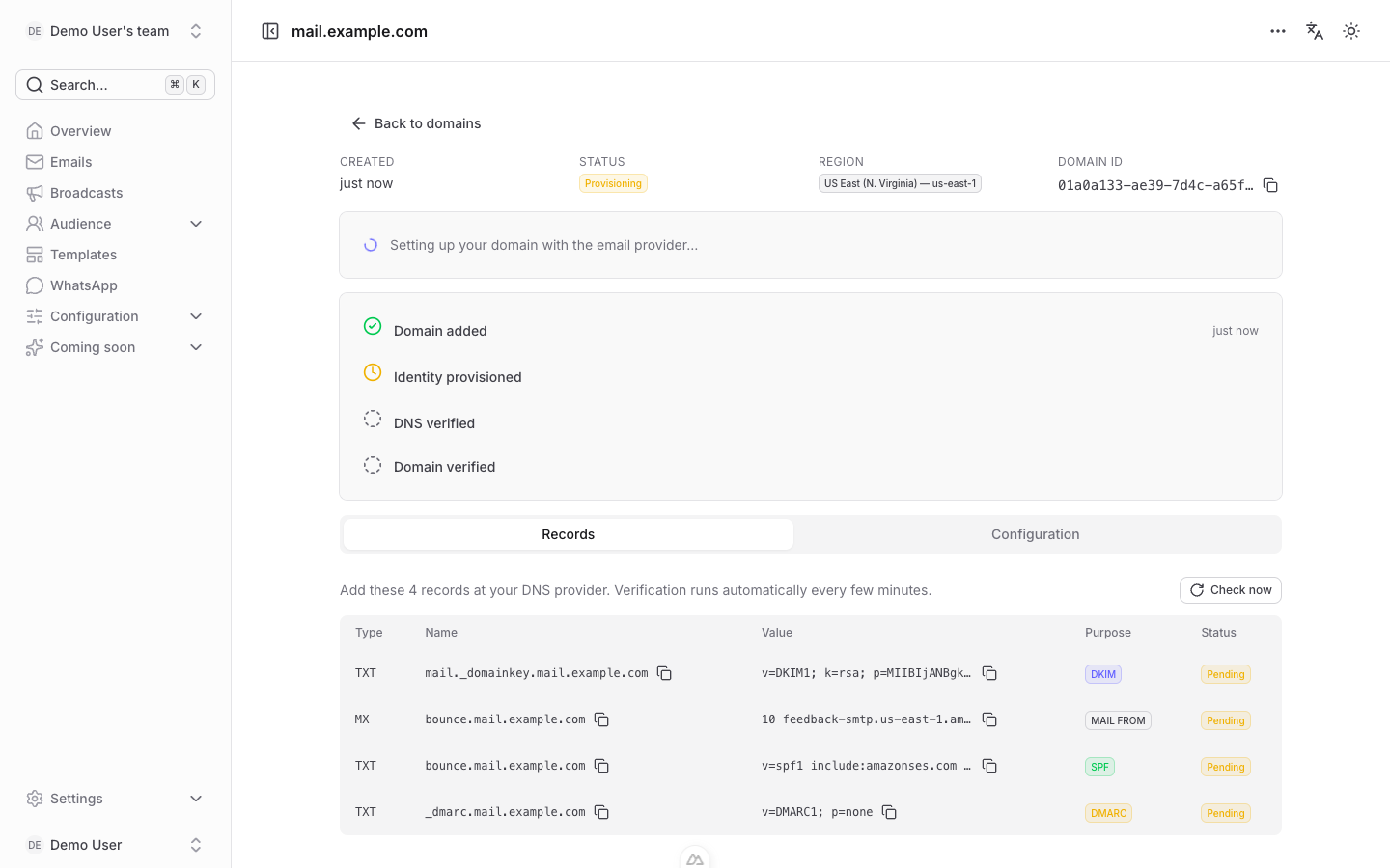 DNS records shown for a domain in the Notideus dashboard
